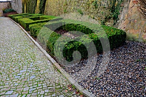 cut squares of flowerbed edging in a historic garden made of boxwood