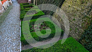 cut squares of flowerbed edging in a historic garden made of boxwood