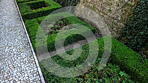 cut squares of flowerbed edging in a historic garden made of boxwood