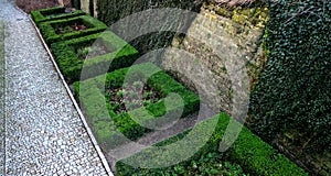 cut squares of flowerbed edging in a historic garden made of boxwood