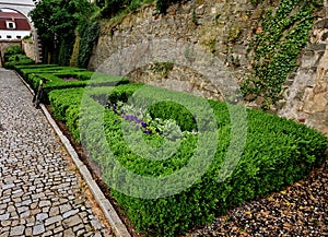 cut squares of flowerbed edging in a historic garden made of boxwood