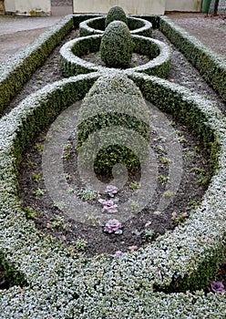 Cut squares of flowerbed edging in a historic garden made of boxwood hedges. courtyard of the castle along the cobblestone path ro