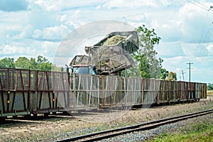 Cut Sugar Cane Being Loaded Onto Rail For The Refinery