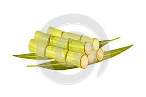 Cut Sugar Cane Unbranched Stems Rested on Green Leaves Vector Illustration photo