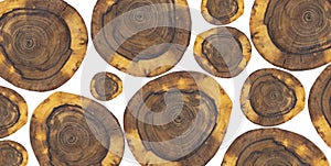 A cut of a tree. Annual rings on trees. Texture. On a white background