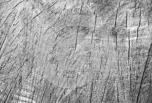 Cut tree cracked stump surface texture. Cutting a cross-tree with annual rings background, close-up. black and white photo