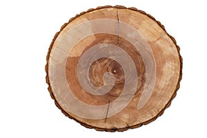 Cut tree growth rings