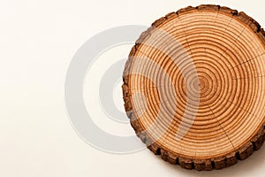 Cut of a tree with growth rings. Space for text.