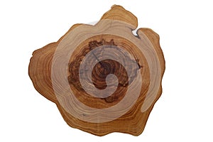 A cut of a tree with growth rings on a white