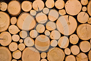 Cut tree logs decorative background