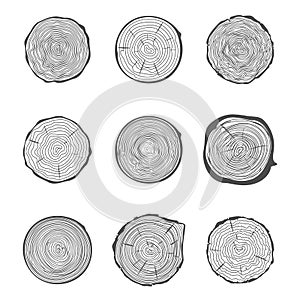 Cut tree rings background saw cut tree trunk natural decorative design set vector illustration