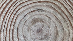 Cut of a tree trunk with annual rings on a vintage background. Zooming in on the camera, macro shooting