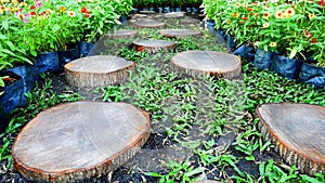 Cut Tree Trunks Walkway in the Garden