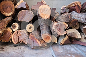 Cut up timber piled for use as firewood.