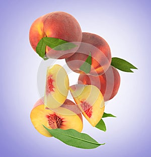 Cut and whole fresh ripe peaches with green leaves falling on blue violet background