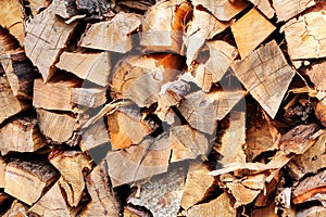 Cut wood, firewood for the winter. Cut logs fire wood and ready pieces of wood for heating wood.