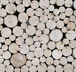 Cut wood logs background