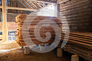 Cut wooden boards at woodworker workshop