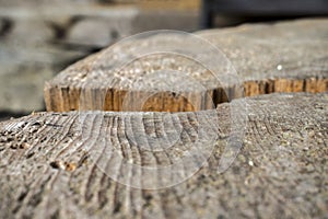 Cut wooden log with a large crack taken from the side. Close-up view of a wooden texture photo