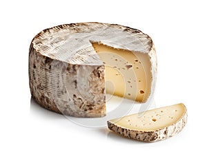 A cut wormy Kasu Marzu cheese