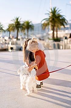 Cute 2-year old girl in a terracotta dress is playing with a small white dog on a leash