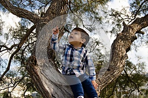 Cute 2 years old boy dressed in shirt sitting on the tree, dirty around the mouth