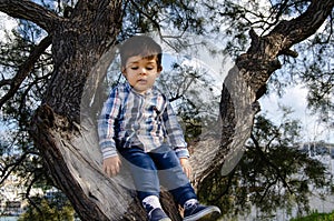 Cute 2 years old boy dressed in shirt sitting on the tree, dirty around the mouth