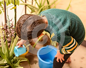 Cute 5 year old Asian little boy is watering the plant in the pots located at house balcony, Love of sweet little boy for the