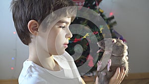 Cute 8 years boy looks with curiosity at a grey rat among Christmas decorations