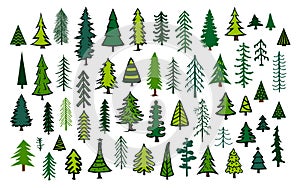 Cute abstract conifer evergreen pine fir christmas needle trees photo