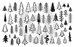 Cute abstract conifer pine fir christmas needle trees