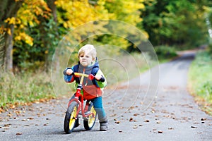 Cute active little boy driving on his bike in autumn forest