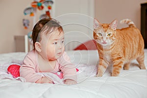 cute adorable Asian mixed race baby girl four months old lying on bed in bedroom with cat.