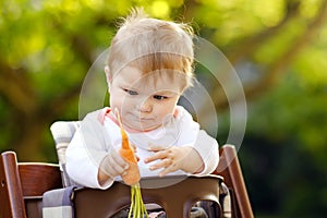 Cute adorable baby girl holding and eating fresh carrot. Beatuiful child having healthy snack. Baby girl sitting in high