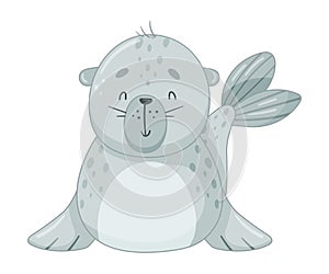 Cute adorable baby seal arctic animal character cartoon vector illustration