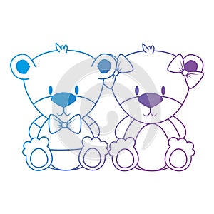 cute and adorable bears couple characters