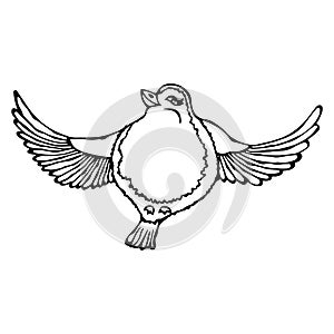 Cute Adorable Bird Flying. Isolated On a White Background Doodle Cartoon Hand Drawn Sketch Vector