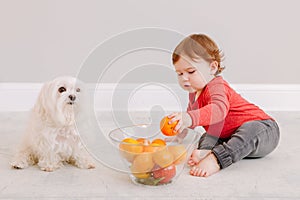 Cute adorable Caucasian baby boy eating citrus fruit. Finny child sitting on floor with pet dog and eating healthy organic snack.