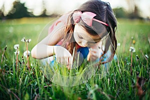Cute adorable Caucasian girl picking flowers dandelions. Kid sitting in grass on meadow. Outdoors fun summer seasonal children