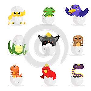 Cute adorable colorful newborn animal characters set, funny reptile and birds in egg shell cartoon Illustration