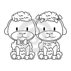 cute and adorable couple sheep characters
