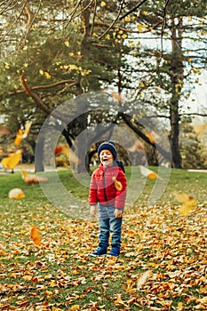 Cute adorable funny little toddler boy child screaming laughing in excitement in autumn fall park outdoor.