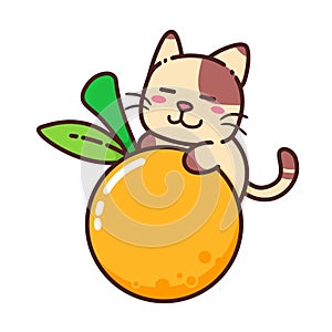 Cute Adorable Happy Brown Cat Eat Orange Fruit Juicy Food Nature Character cartoon doodle vector illustration flat design
