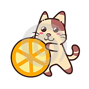 Cute Adorable Happy Brown Cat Eat Orange Fruit Juicy Food Nature Flat Design