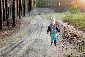 Cute adorable little blond caucasian toddler boy walking alone by rural country sand road on ranch or farm at coniferous