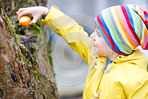 Cute adorable little kid boy making an egg hunt on Easter. Happy child searching and finding colorful eggs in domestic