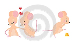 Cute adorable mice in different actions set. Couple of mouse in love cartoon vector illustration