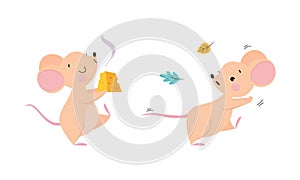 Cute adorable mice in different actions set. Funny mouse running and enjoying of eating cheese cartoon vector