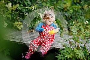 Cute adorable toddler girl sitting on wooden bridge and throwing small stones into a creek. Funny baby having fun with