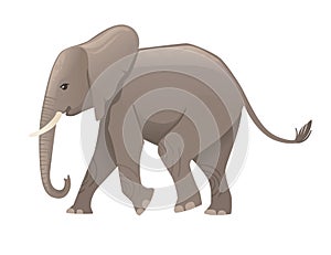 Cute adult elephant on the walk cartoon animal design flat vector illustration isolated on white background